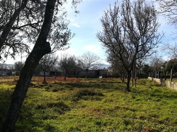 Terreno Para Construção / Ponte de Lima, São Pedro D`Arcos