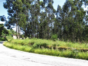 Terreno Para Construção / Ponte de Lima, Vitorino dos Piães